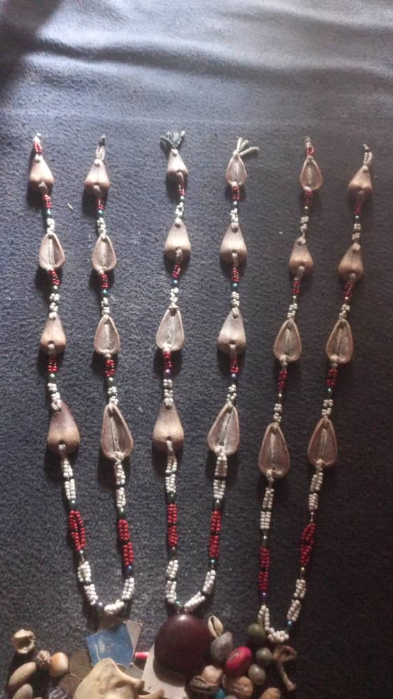 Maître spirituel africain pratiquant la consultation Fâ (géomancie) avec instruments traditionnels vodoun