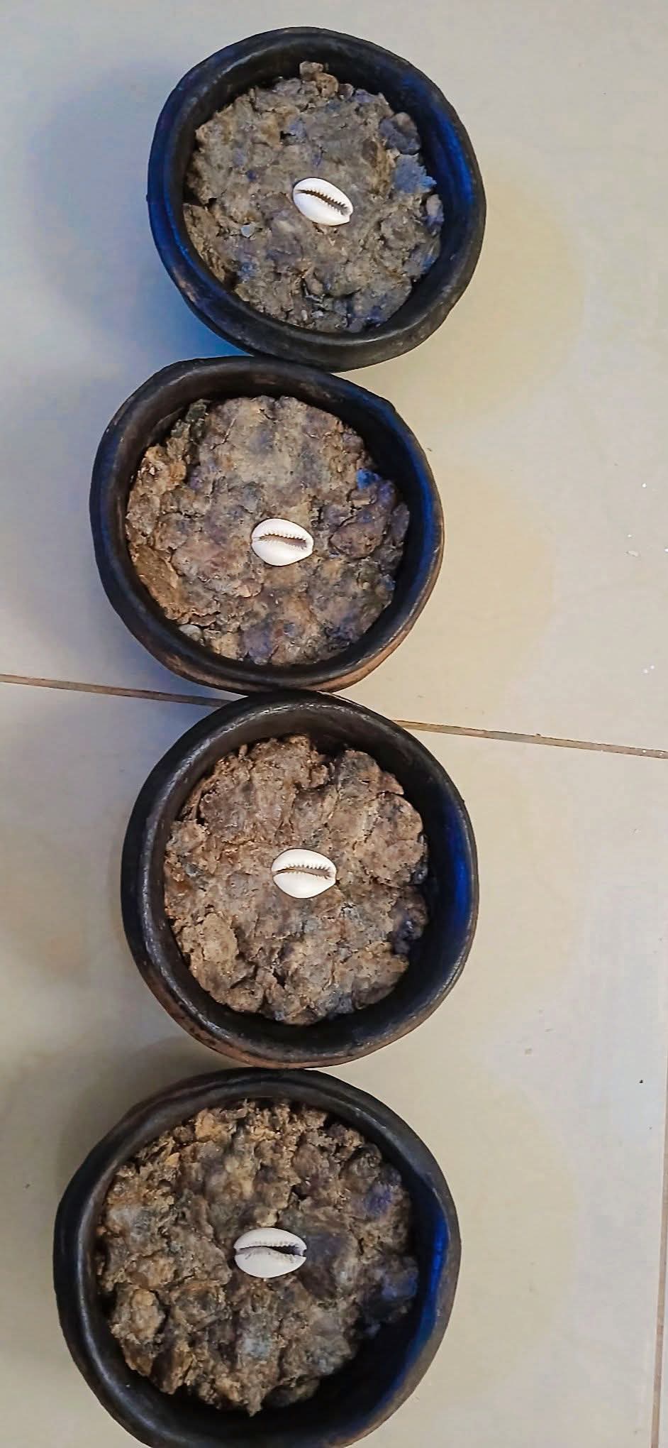 Rituels spirituels vodoun avec plantes médicinales et objets sacrés africains