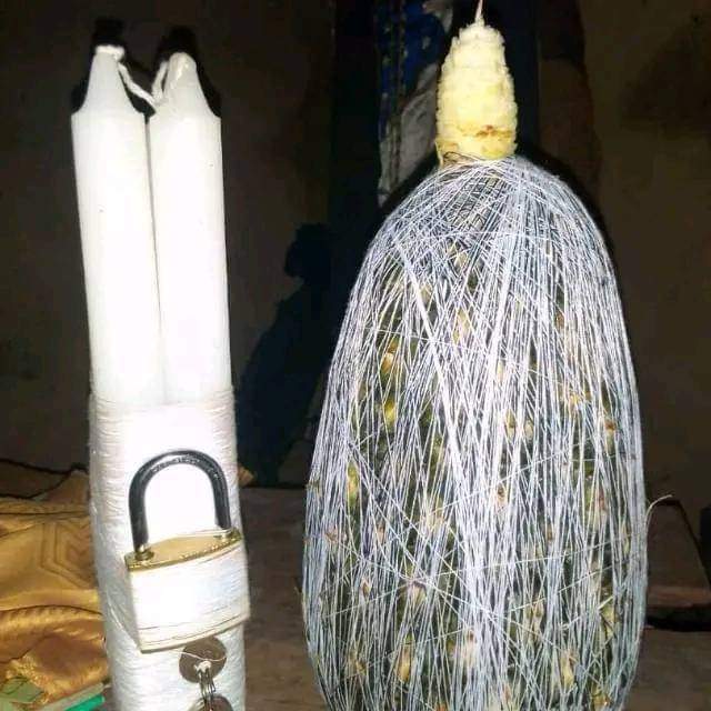 Plantes Médicinales